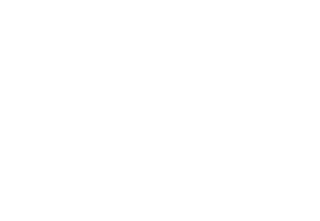 Logo groupe SEBI blanc